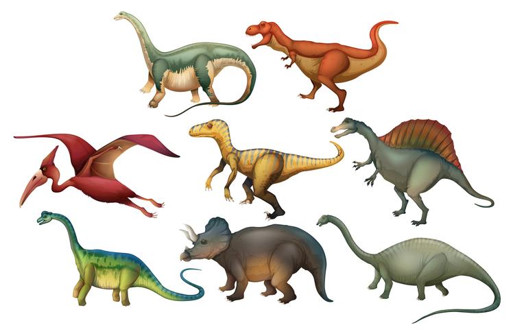 A Set of Diffrent Dinosaurs vector